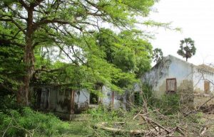 the-abandoned-house-behind-which-her-body-was-found-600x450-600x385