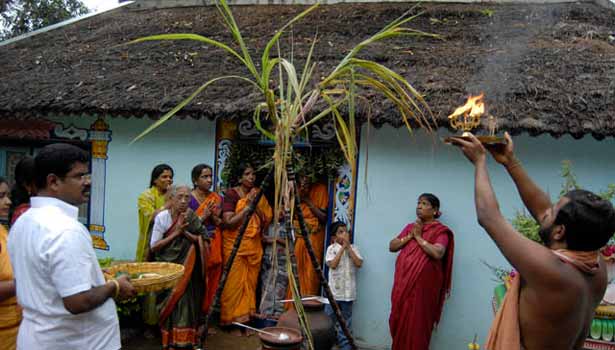 தமிழர் திருநாள் தைத்திருநாள்