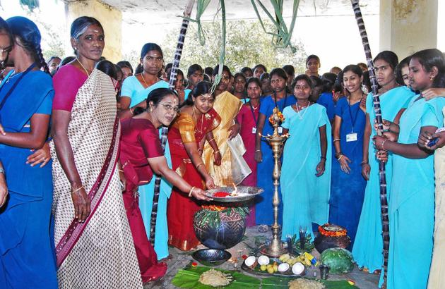 பொங்கலை ஏன் தமிழர்கள் கொண்டாடுகிறார்கள், ஜல்லிக்கட்டுக்காக ஏன் போராடுகிறார்கள் தெரியுமா?