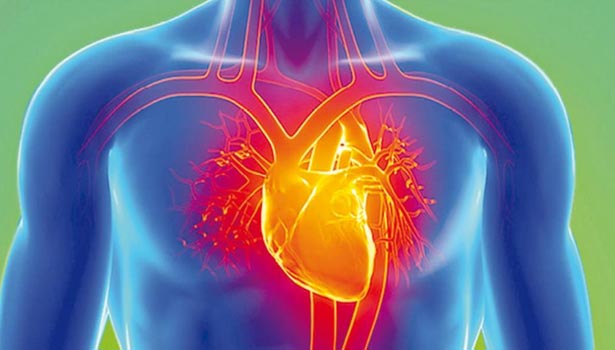 இதய நோய் வராமல் தடுக்கும் பதமான டிப்ஸ்
