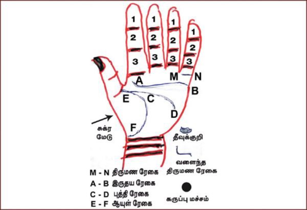 கைரேகை அற்புதங்கள் திருமணத் தடை ஏற்படுவது ஏன்?