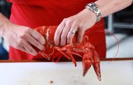 சுவிற்சர்லாந்தில் Lobsters-களை உயிருடன் வேகவைக்க தடை!!