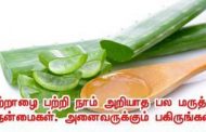 கற்றாழையின் நீங்கள் அறியாத மருத்துவ குணங்கள்