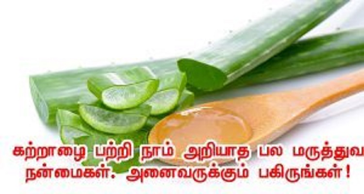 கற்றாழையின் நீங்கள் அறியாத மருத்துவ குணங்கள்