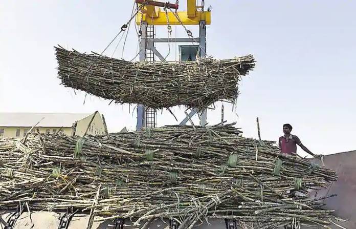 சர்க்கரை உற்பத்தியில் சாதிக்கும் இந்தியா!