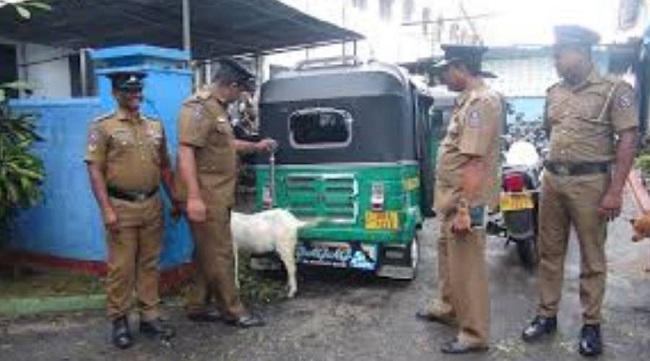 யாழ்.வடமராட்சியில் தங்கியிருந்த வெளிநாட்டவர்களிடம் இருந்து லட்சக்கணக்கில் கொள்ளை!