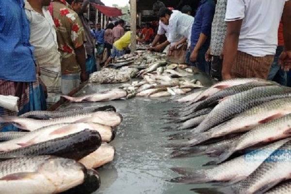 மீன் விற்பனை நிலையத்தின் சில்லறை விற்பனை தற்காலிகமாக இடைநிறுத்தம்!