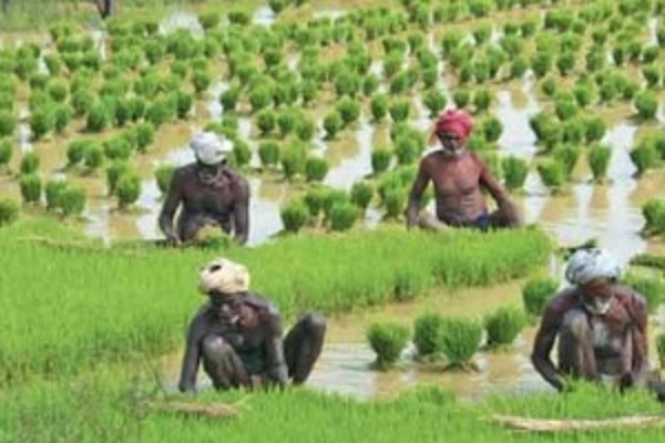 விவசாயிகளுக்கு 5 இலட்சம் ரூபா கடன் வழங்குவதற்கு தீர்மானம்..!