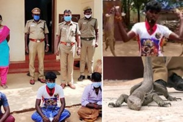 உடும்பை உயிருடன் பிடித்து டிக் டாக்...! இளைஞர்களுக்கு நேர்ந்த கதி