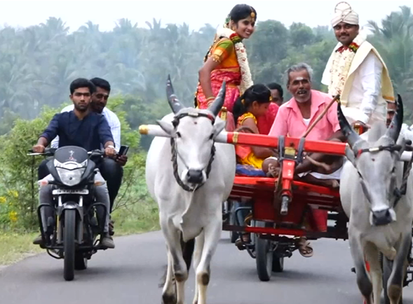 பழமையை போற்றும் விதமாக மாட்டு வண்டியில் பயணித்த மணமக்கள்!!