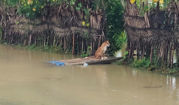 கிளிநொச்சியில் தொடரும் மழை..!!