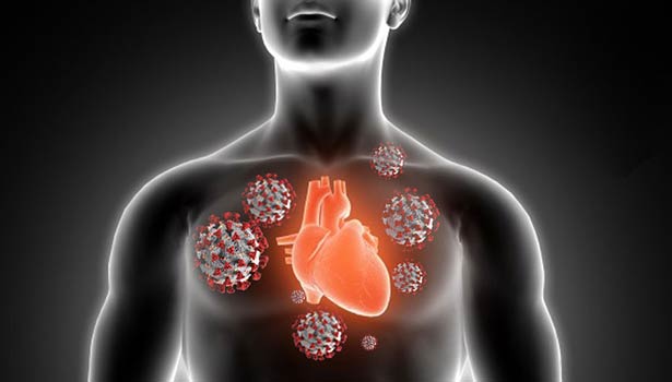 கொரோனா தொற்று இதயத்தை பாதிக்கும்