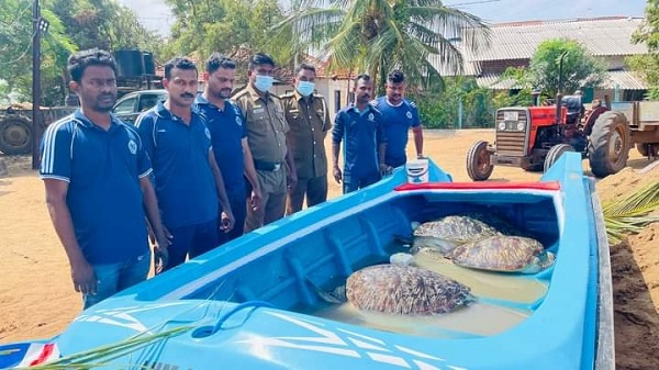 வீட்டில் மறைத்து வைக்கப்பட்டிருந்த அரியவகை ஐந்து கடலாமைகள் மீட்பு.. வெளியான தகவல்!