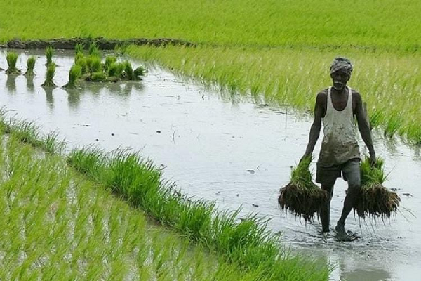 இலங்கையில் தீவிர உணவு பாதுகாப்பின்மைக்கு உள்ளாகியுள்ள 1 இலட்சம் மக்கள்