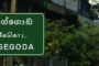 போக்குவரத்து விதிமீறல்களுக்காக தண்டப்பணம் செலுத்துவோருக்கு முக்கிய அறிவிப்பு