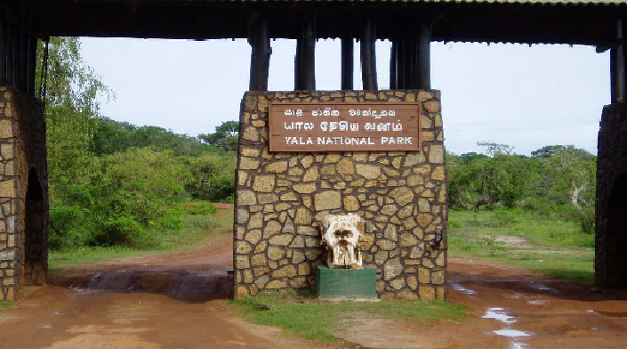 மீண்டும் திறக்கப்பட்டது யால தேசிய பூங்கா