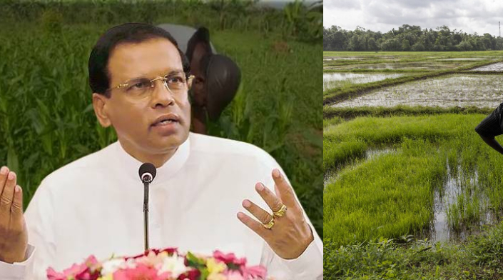 விவசாயிகளுக்கு நஷ்டஈடுகள் வழங்க வேண்டும் : மைத்திரி சுட்டிக்காட்டு