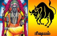 திரும்பி செல்லும் குரு பகவான்: மொத்தமாக எல்லாம் மாறப்போகும் வாழ்க்கை- பலன்கள்