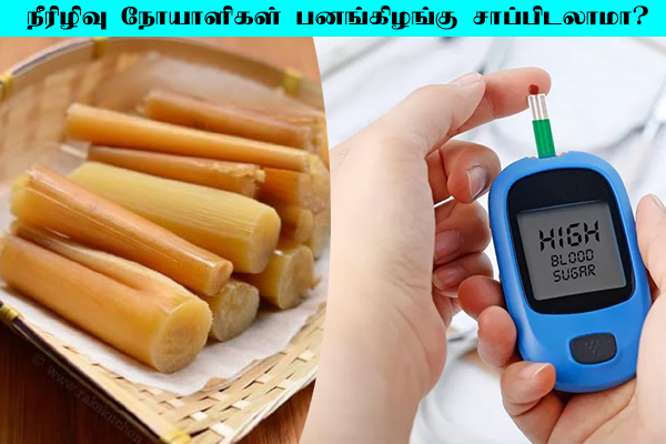 நீரிழிவு நோயாளிகள் பனங்கிழங்கு சாப்பிடலாமா? தெரிந்து கொள்ள வேண்டிய தகவல்