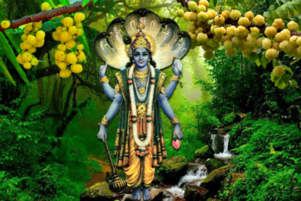 கஷ்டத்தை நீக்கி முன்னேற்றம் தரும் சுக்ல பக்ஷ ஏகாதசி - வழிபடுவது எப்படி?